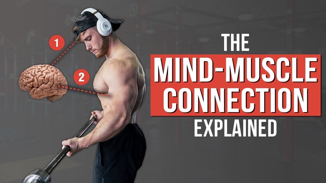 Mindset With Muscle Torrent